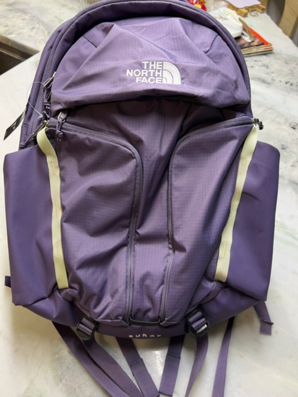 NWT The North Face Women’s Surge Backpack in Lunar Slate/Lime Cream 👾🪐